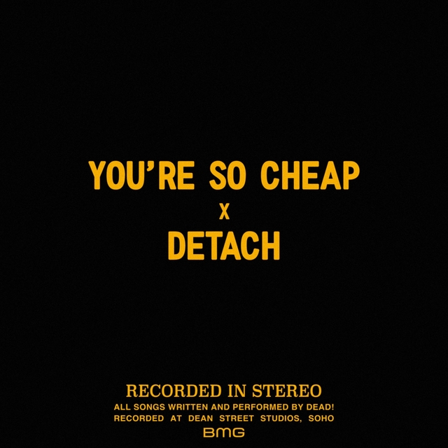 Couverture de You're so Cheap