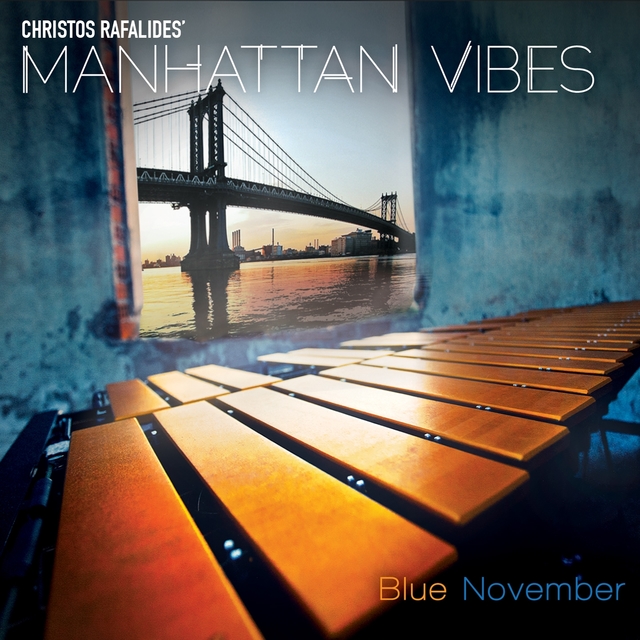 Couverture de Blue November