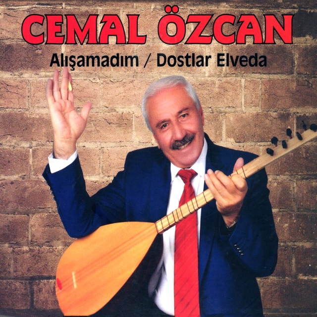 Alışamadım / Dostlar Elveda