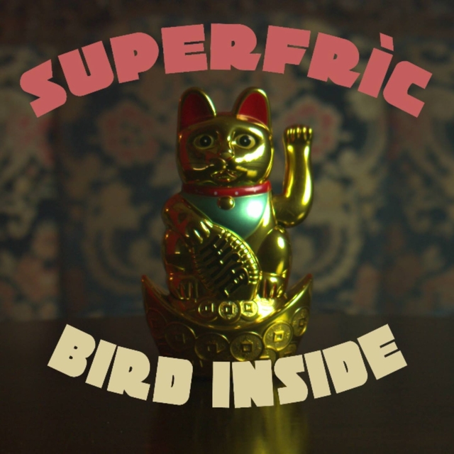 Couverture de Bird Inside