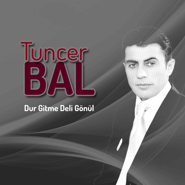 Couverture de Dur Gitme Deli Gönül