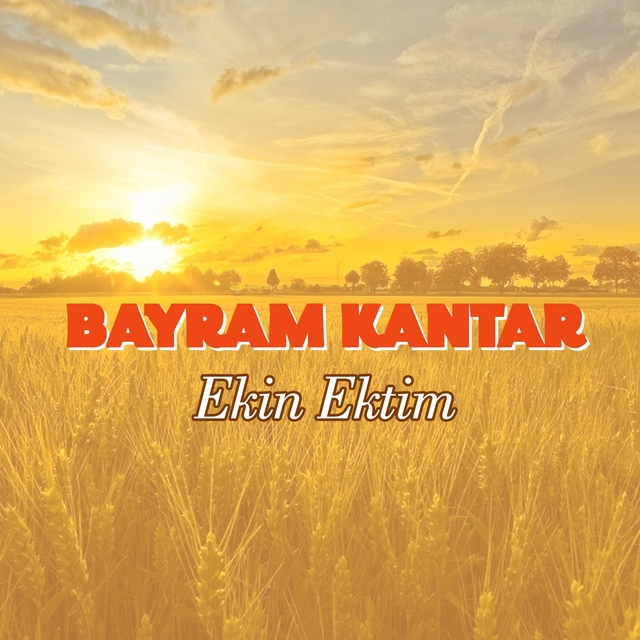 Couverture de Ekin Ektim