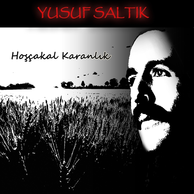 Couverture de Hoşçakal Karanlık