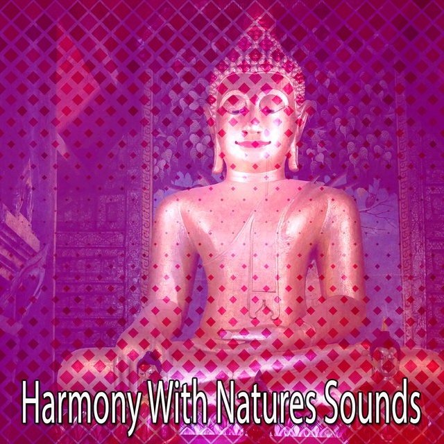 Harmony With Natures Sounds