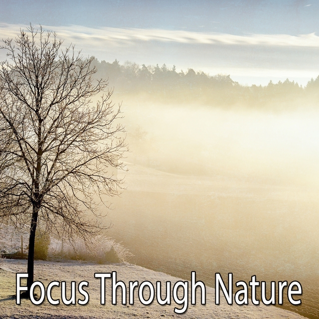 Focus Through Nature