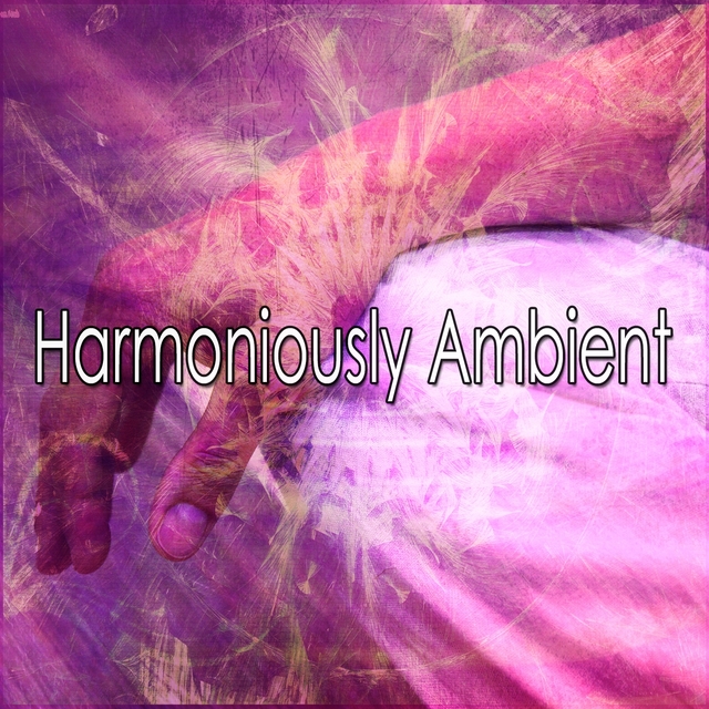 Harmoniously Ambient