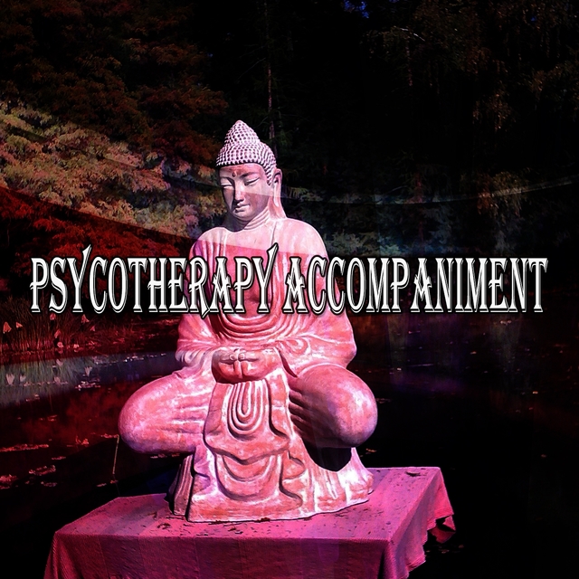 Psycotherapy Accompaniment