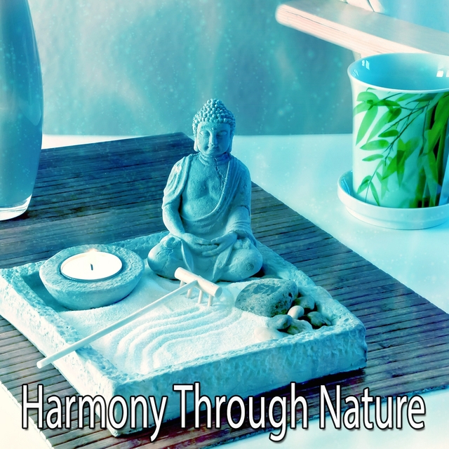 Couverture de Harmony Through Nature