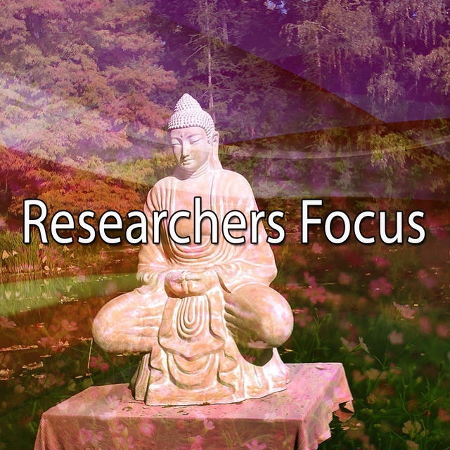 Researchers Focus