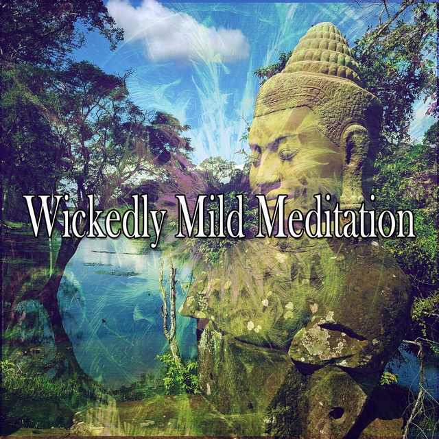 Wickedly Mild Meditation