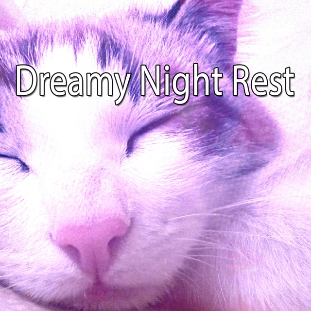 Couverture de Dreamy Night Rest