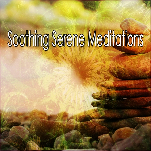 Couverture de Soothing Serene Meditations