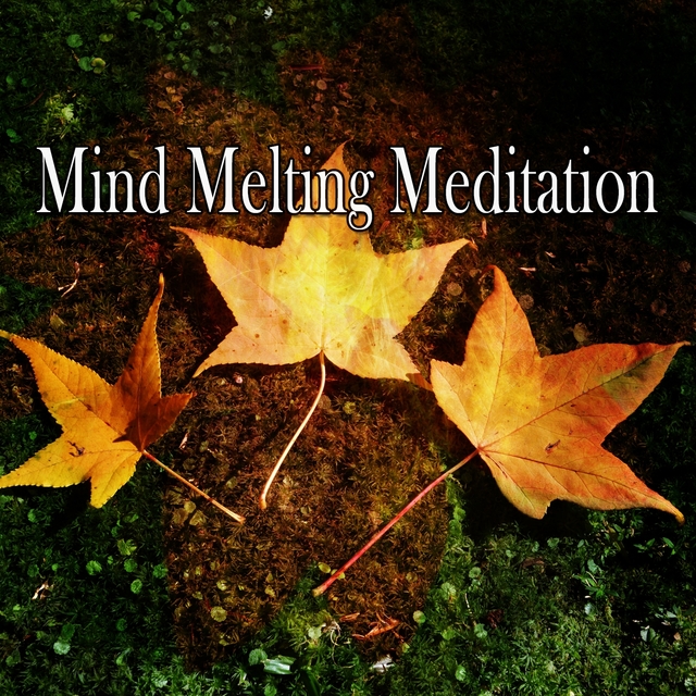 Mind Melting Meditation