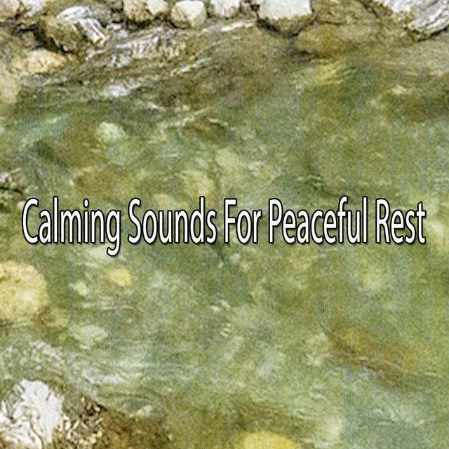 Calming Sounds For Peaceful Rest