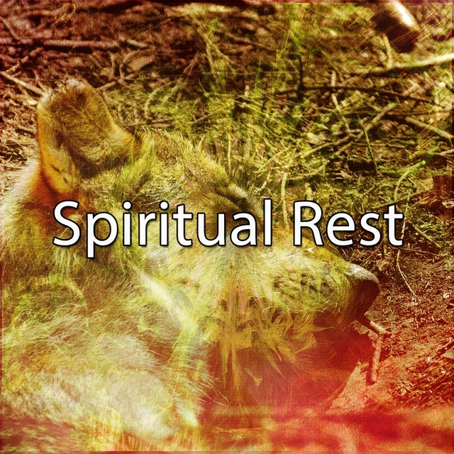 Couverture de Spiritual Rest