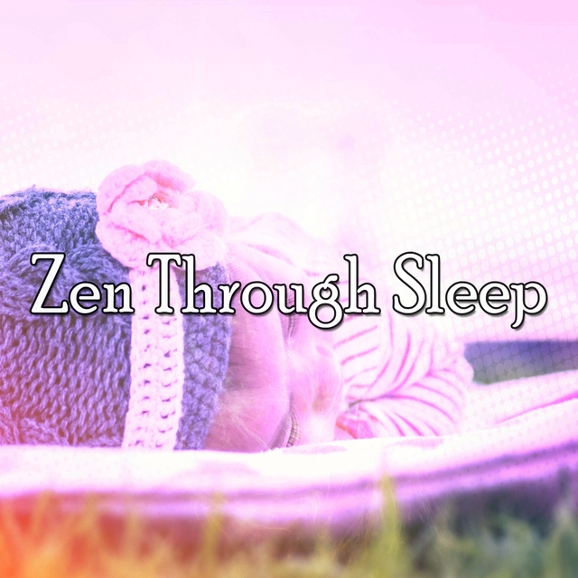 Couverture de Zen Through Sleep