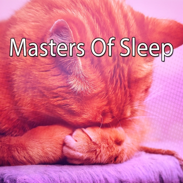 Couverture de Masters Of Sleep