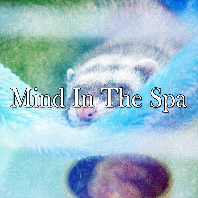 Couverture de Mind In The Spa