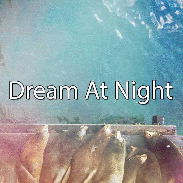 Couverture de Dream At Night