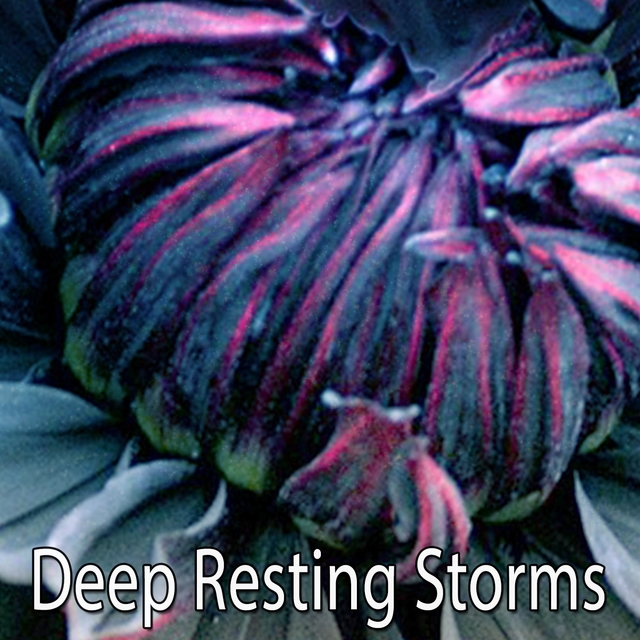 Couverture de Deep Resting Storms