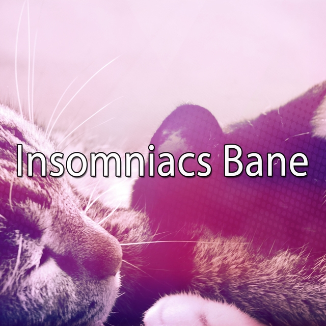 Insomniacs Bane