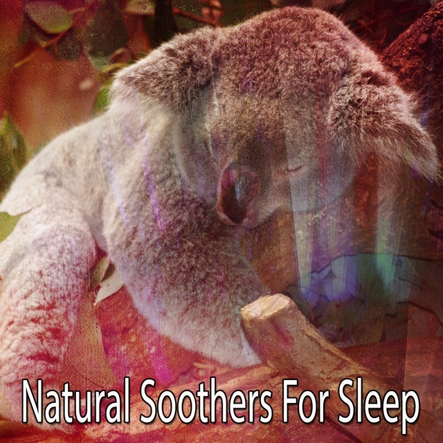 Couverture de Natural Soothers For Sleep