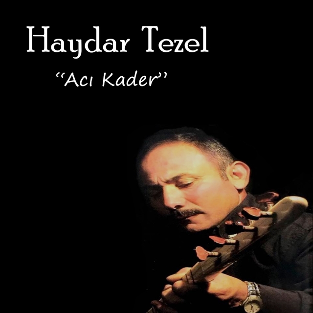 Couverture de Acı Kader