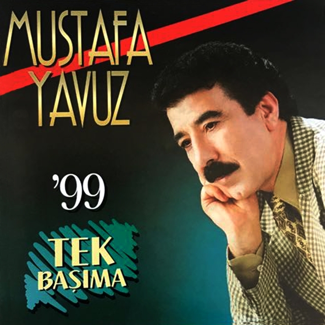 Couverture de Tek Başıma