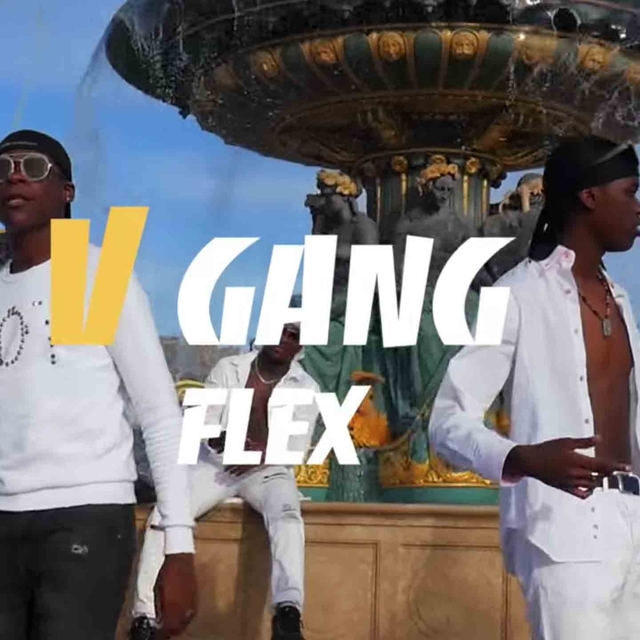 Couverture de Flex