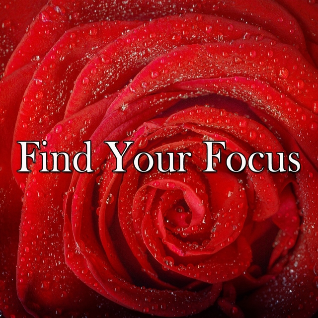 Find Your Focus