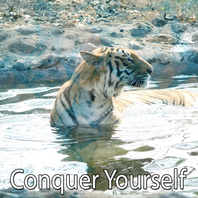 Couverture de Conquer Yourself