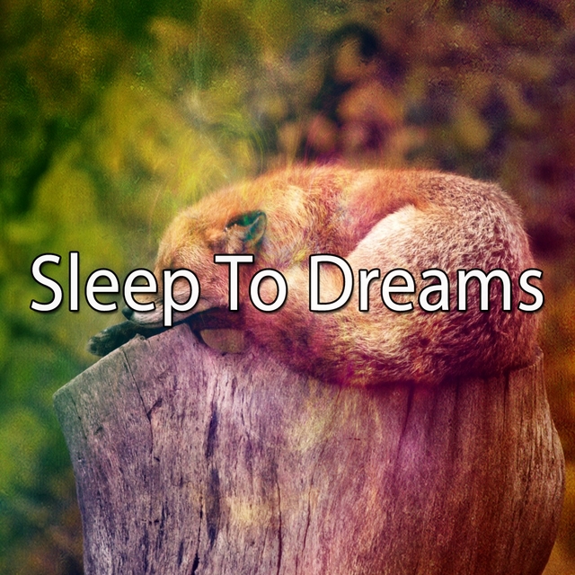 Couverture de Sleep To Dreams