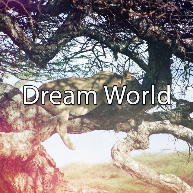 Dream World