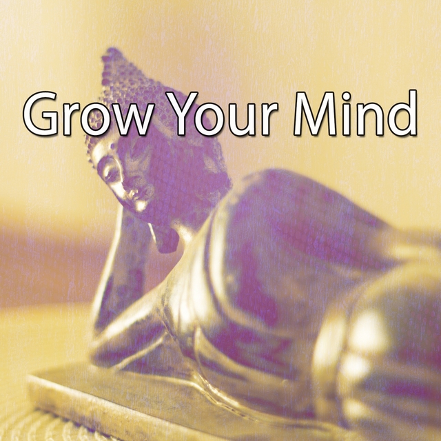 Couverture de Grow Your Mind