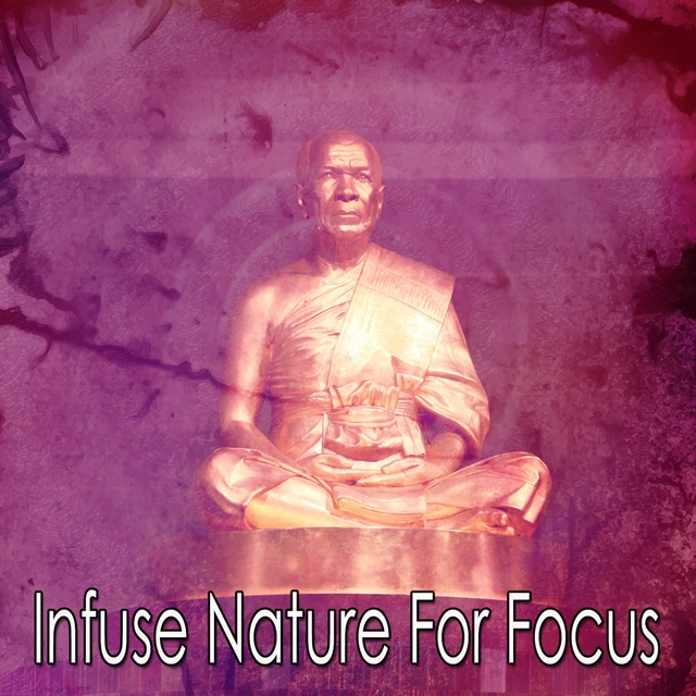 Couverture de Infuse Nature For Focus