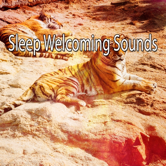 Couverture de Sleep Welcoming Sounds