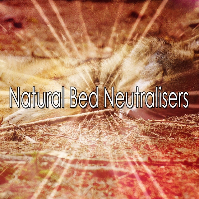 Couverture de Natural Bed Neutralisers