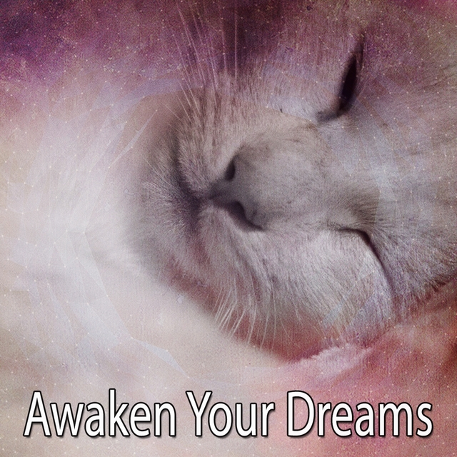 Awaken Your Dreams