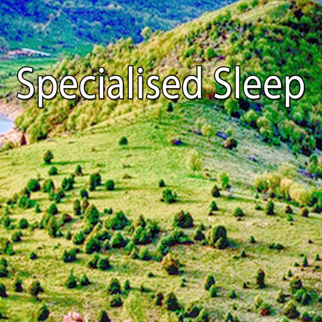 Couverture de Specialised Sleep