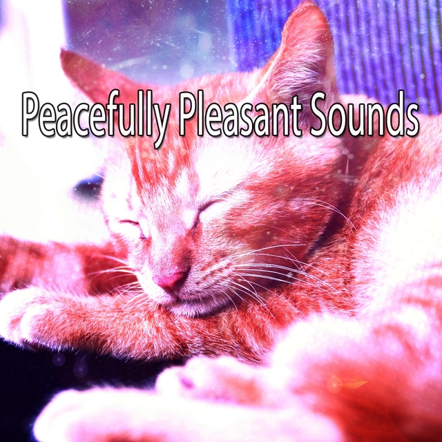Peacefully Pleasant Sounds