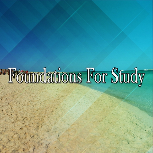 Couverture de Foundations For Study