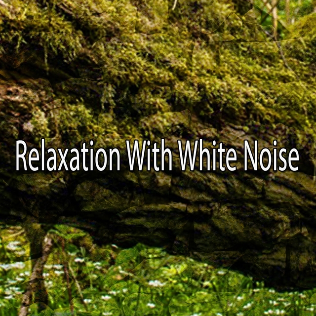 Couverture de Relaxation With White Noise