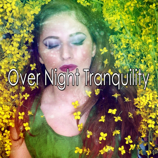 Couverture de Over Night Tranquility