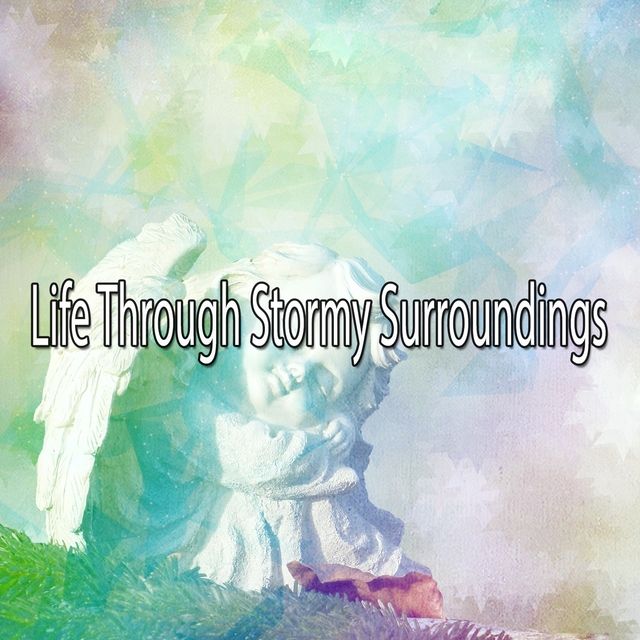 Couverture de Life Through Stormy Surroundings