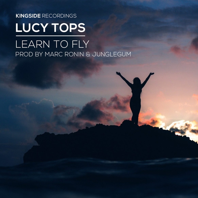 Learn To Fly