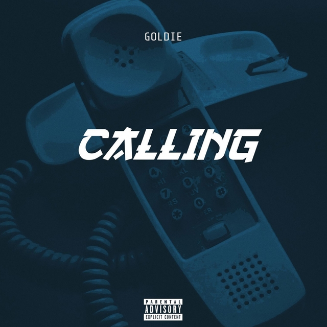 Couverture de Calling