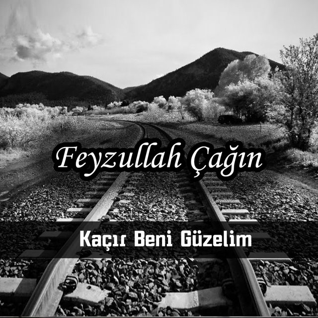 Couverture de Kaçır Beni Güzelim