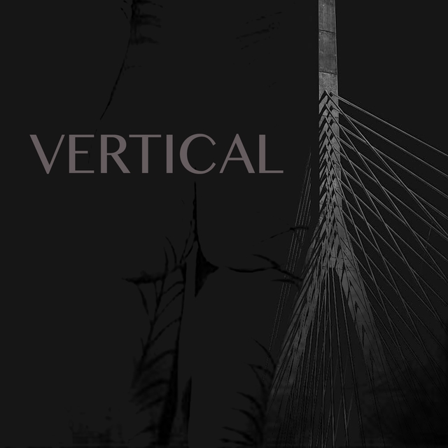 Couverture de Vertical