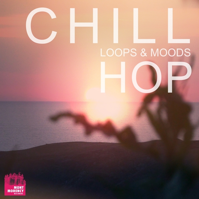 Couverture de Chill Hop