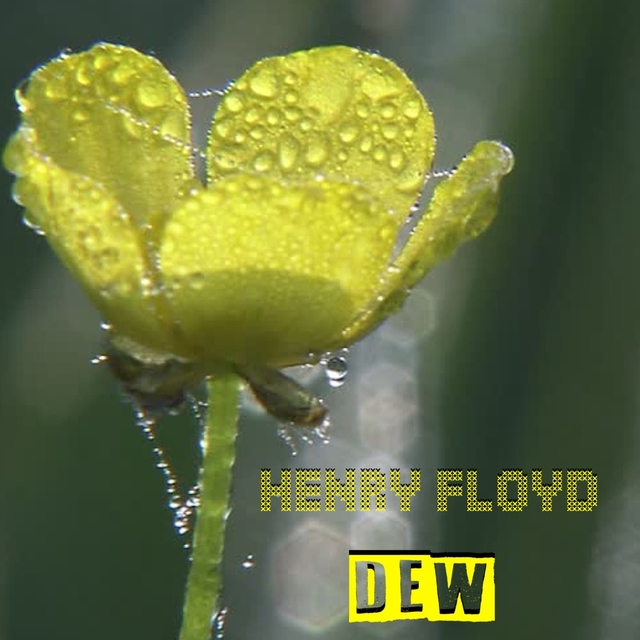 Dew